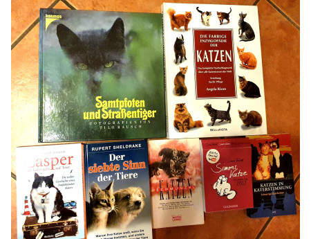 Katzen Bücher Posten (C21417)