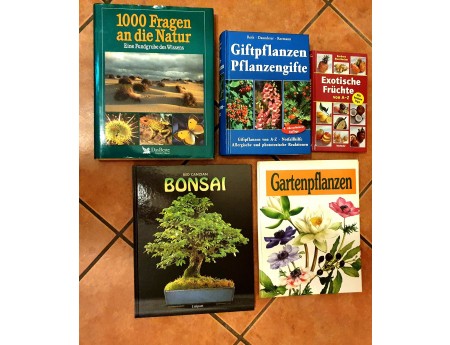 Bücher Natur Früchte Pflanzen Bonsai (C21416)