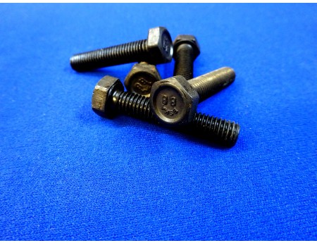 ESKA 8.8 Sechskantschraube 8 x 40 mm 5 Stk. brüniert (24680)