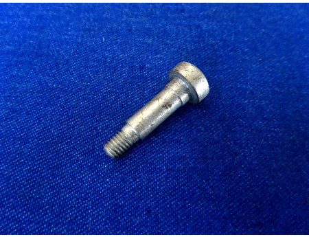 Schaftschraube 5,5 x 22,5 Zünddose BMW EMW (26893)