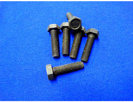 ESKA 8.8 Sechskantschraube 10 x 40 mm 6 Stk. (28031)