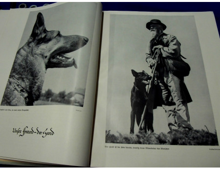 Das Haustier-Buch Paul Eipper 1938 (29012)