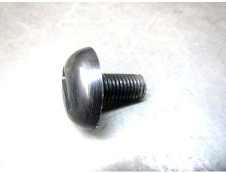 Kunststoffschraube M10x1,5 Plast Schraube 30 mm (22225)