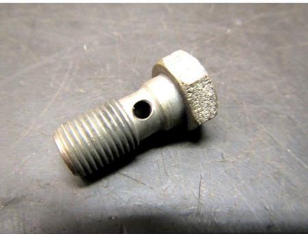 Hohlschraube 10x21 mm Zastava Fiat (C18406)