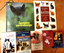 Katzen Bücher Posten (C21417)