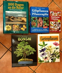 Bücher Natur Früchte Pflanzen Bonsai (C21416)