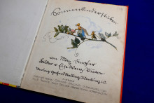 Sonnenkinderstuben Else Wenz-Viëtor 1925 (29256)