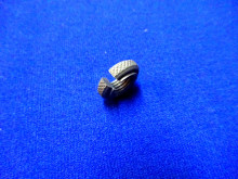 Einstellmutter Bowdenzug MZ RT AWO EMW BMW (26977)