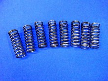 Ventilfedern 24,9 x 70 mm 8 Stk. Ford Eifel (25184)