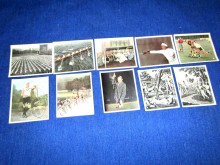 Zigarettenbilder Bulgaria Deutscher Sport Sammelbilder (23707)