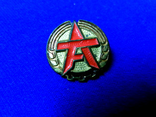 Anstecknadel Abzeichen Arbeiterfestspiele DDR (29070)