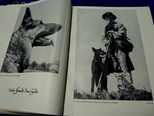 Das Haustier-Buch Paul Eipper 1938 (29012)